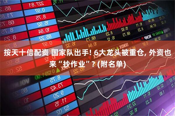 按天十倍配资 国家队出手! 6大龙头被重仓, 外资也来“抄作业”? (附名单)