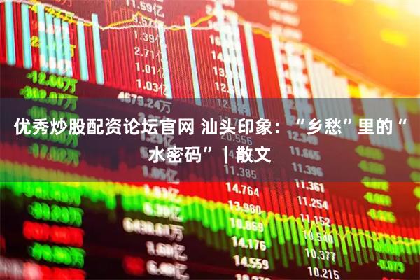 优秀炒股配资论坛官网 汕头印象：“乡愁”里的“水密码”｜散文